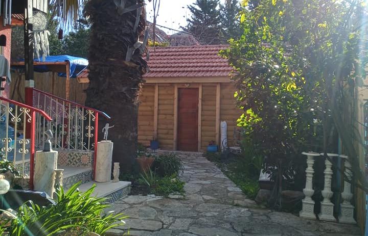 141952629_1602598433258217_8455877801808383842_n